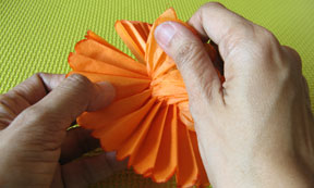 tissue paper flower photo
